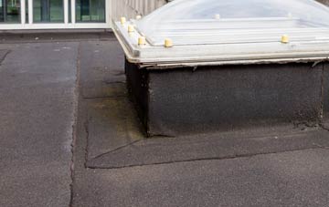 disadvantages of Portavadie flat roofs