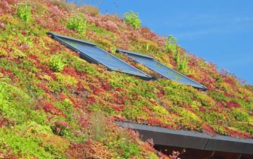 Portavadie living roof systems