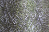 Portavadie fibreglass roof work